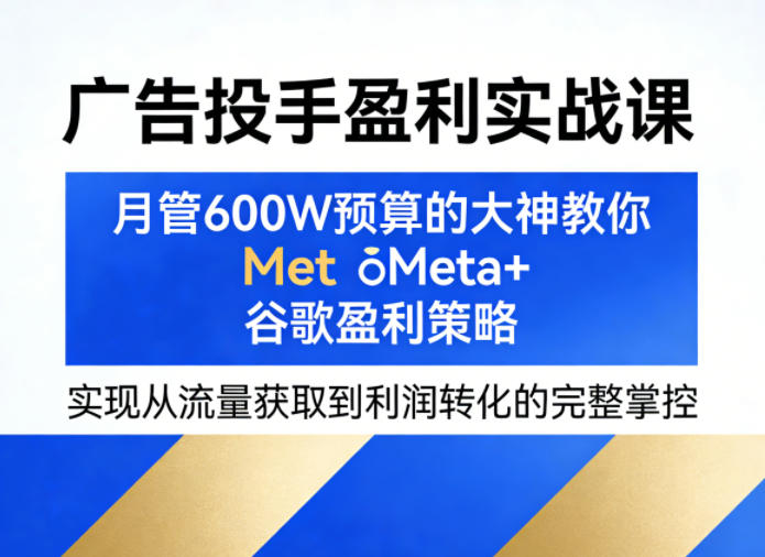 广告投手盈利实战课，月管600W预算的大神教你Meta+谷歌盈利策略，实现从流量获取到利润转化的完整掌控-智点网