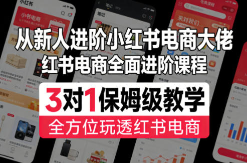 从新人进阶小红书电商大佬，红书电商全面进阶课程，3对1保姆级教学，全方位玩透红书电商-智点网