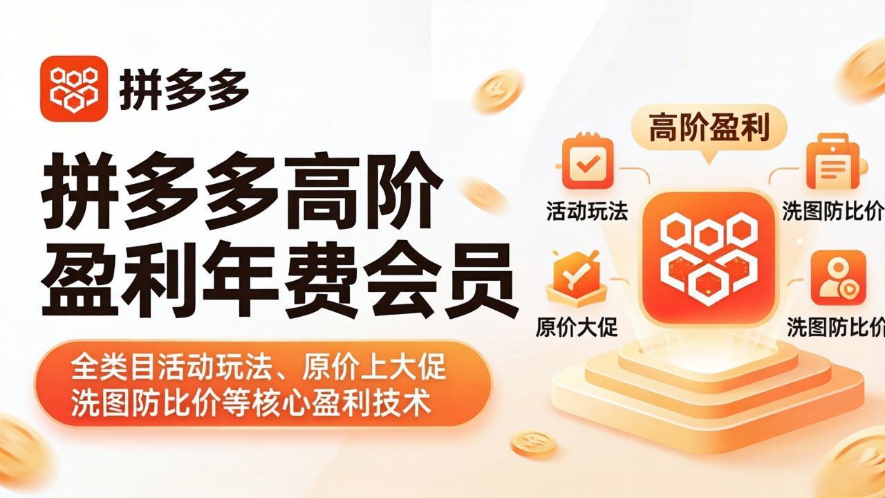 拼多多高阶盈利年费会员(更新4月19-智点网
