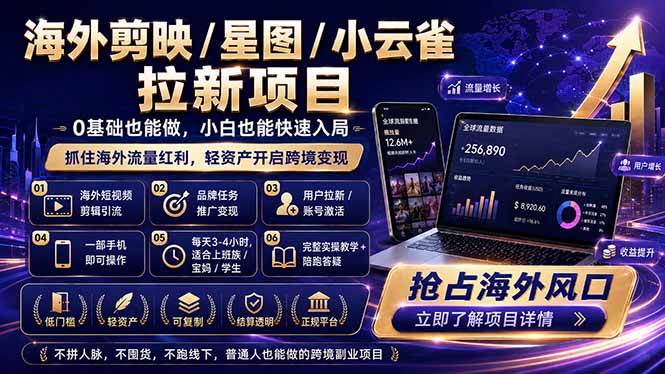 海外剪映 / 星图 / 小云雀拉新项目 普通人也能上手的跨境流量变现副业-智点网