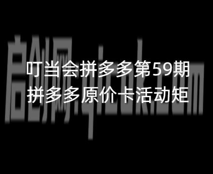 叮当会拼多多第59期：原价卡活动矩阵（赠送往期）2026年(价值4980元)-智点网