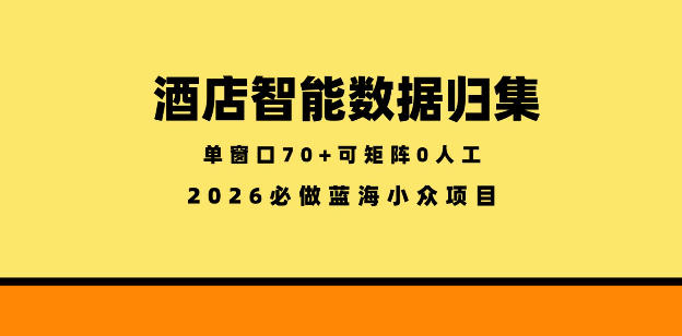 酒店智能数据归集，小众蓝海已经稳定半年之久，单窗口70+零成本矩阵开干【揭秘】-智点网