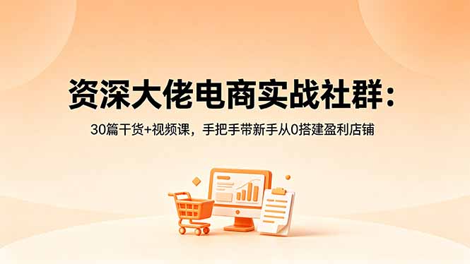 资深大佬电商实战社群：30篇干货+视频课，手把手带新手从0搭建盈利店铺-智点网