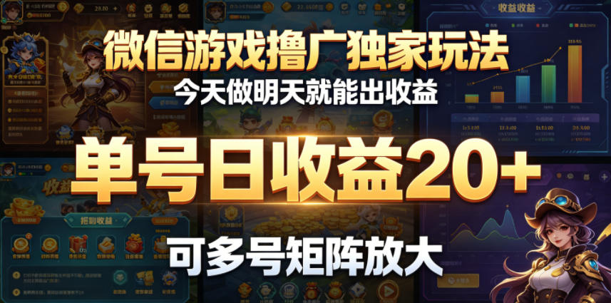 微信游戏撸广独家玩法，今天做明天就能出收益，单号日收益20+，可多号矩阵放大-智点网