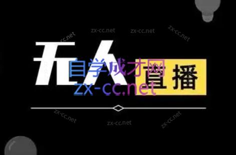 宝子哥·无人直播-非实时防风技术(更新5月)-智点网