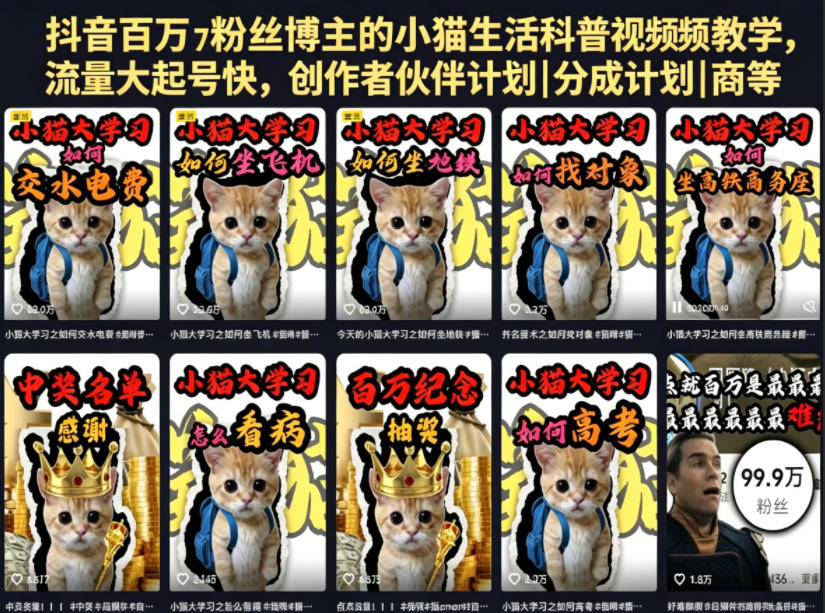 抖音百万粉丝博主的小猫生活科普视频教学，流量大起号快，创作者伙伴计划|分成计划|商单|收徒等-智点网