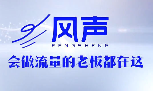 董十一·风声短视频AI获客年度会员-智点网