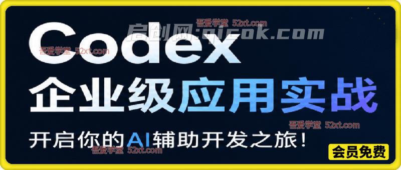 Codex 企业级应用实战，开启你的AI辅助开发之旅!-智点网