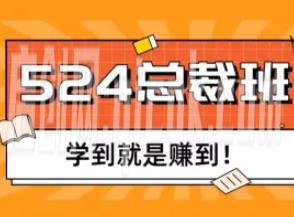 纪主任524总裁班拼多多特训营下线课复盘(价值5980元)-智点网