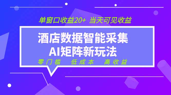 2026酒店数据采集ai智能矩阵新风口  低成本   高收益   当天见收益   单窗口20+-智点网