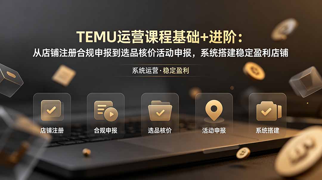 TEMU运营课程(基础+进阶-智点网