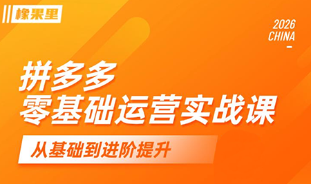 仙道电商·拼多多零基础运营实战课-智点网