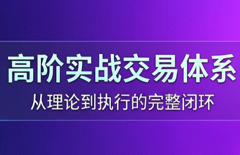 高老师·高阶实战交易体系(更新6月)-智点网