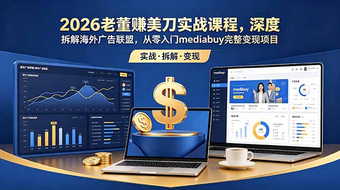 2026老董赚美刀实战课程，深度拆解海外广告联盟，从零入门mediabuy完整变现项目-智点网