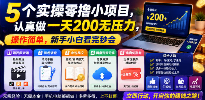 5个实操零撸小项目，认真做一天200无压力，操作简单，新手小白看完秒会【揭秘】-智点网