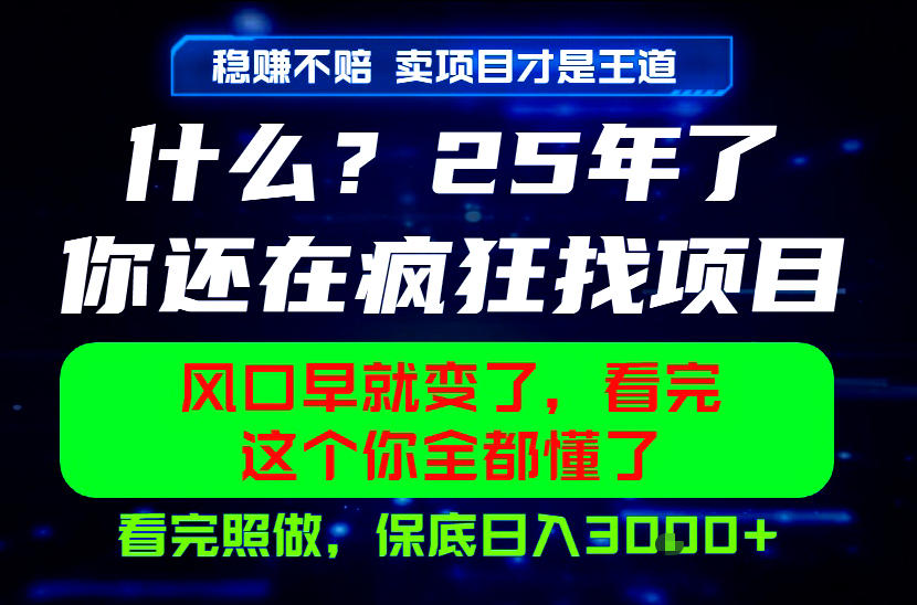26年，请不要疯狂的找项目做了！卖项目才是真的稳賺不赔，看完照做，保底日入1k+【揭秘】-智点网