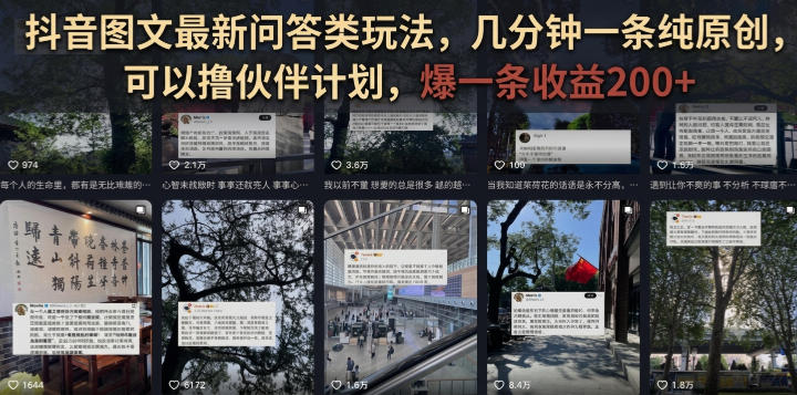 抖音图文最新问答类玩法，几分钟一条纯原创，可以撸伙伴计划，爆一条收益200+-智点网