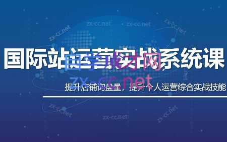 白老师·国际站运营实战系统(高质量询盘增长课)(更新)-智点网