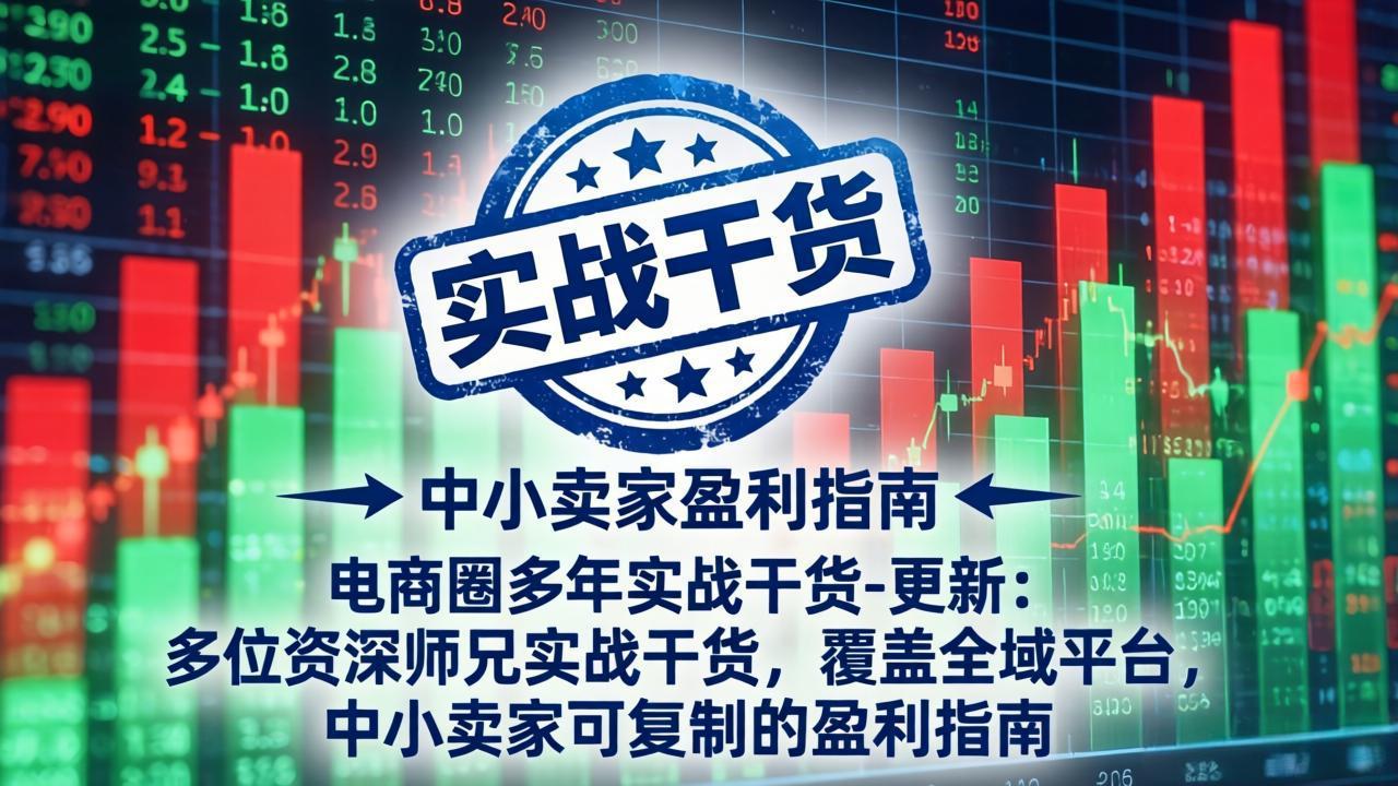 电商圈多年实战干货-更新2026：多位资深师兄实战干货/覆盖全域平台，中小卖家可复制的盈利指南-智点网