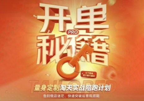 天下网商·淘宝天猫陪跑计划(更新7月)-智点网
