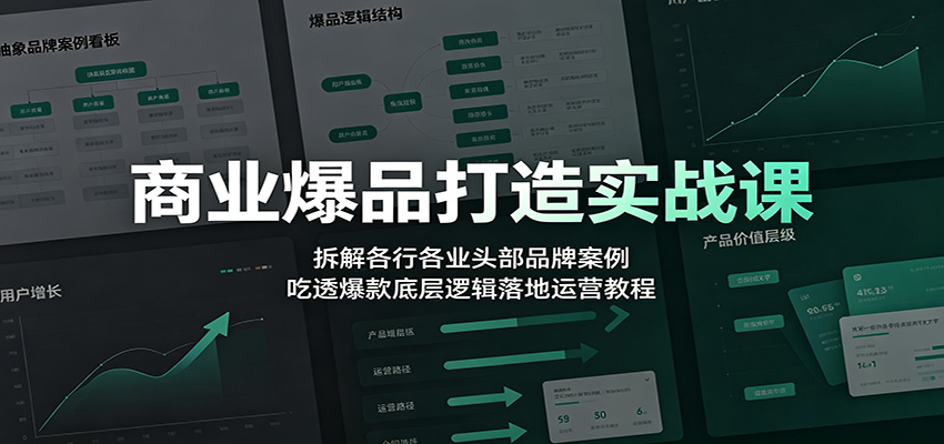 商业爆品打造实战课：拆解各行各业头部品牌案例，吃透爆款底层逻辑落地运营教程-智点网