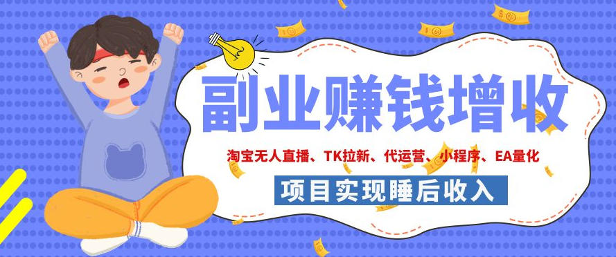 2026年多个真实落地副业项目，手把手带你搭建被动收入管道(淘宝无人直播、海外TK拉新、CSGO饰品交易、去水印小程序等)【揭秘】-智点网