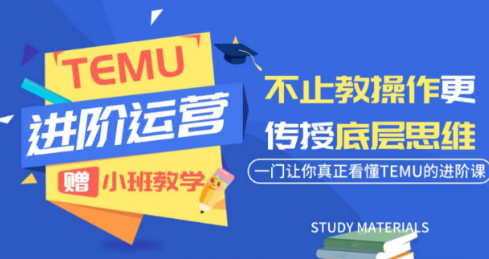 阿卡林·TEMU运营课程(基础+进阶)-智点网