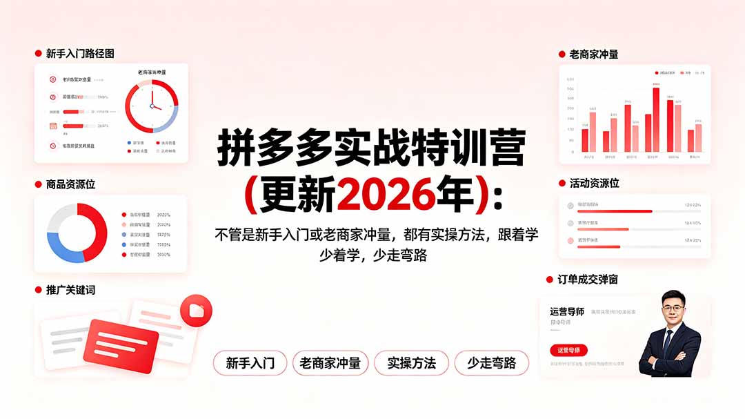 拼多多实战特训营(更新2026年-智点网