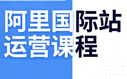 张国儒·阿里国际站运营课程(更新7月)-智点网