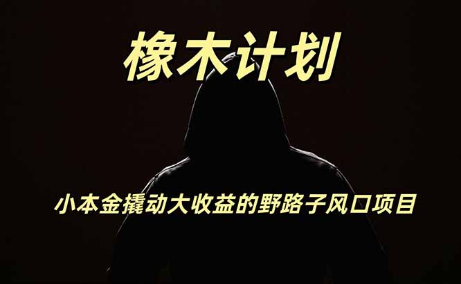 橡木计划，小投入撬动高回报的风口野路子项目，一天投入2小时左右-智点网