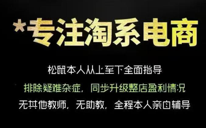 松鼠会电商VIP课程，从基础布局到高阶优化，助你掌握淘宝运营逻辑，提升店铺流量与转化(更新0910)-智点网