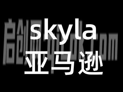 skyla讲亚马逊跨境电商26年9月10更新(价值4980元)-智点网