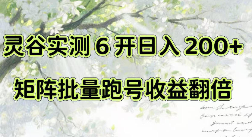 一台电脑就能做！灵谷实测6开日入200+，矩阵批量跑号收益翻倍【揭秘】-智点网