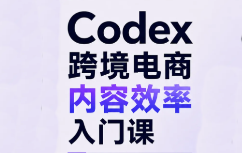 Codex跨境电商内容效率入门课-智点网