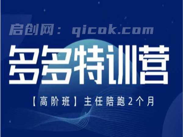纪主任-多多特训营2026年9月11更新(价值5288元)-智点网