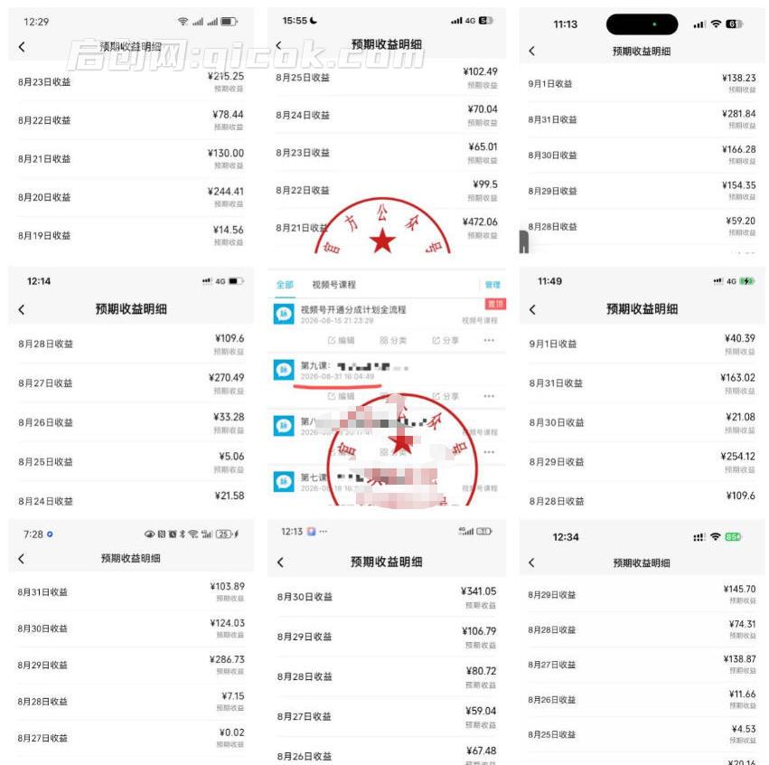 视频号分成计划项目，教你掌握十大高单价赛道，发发视频，即可获取收益！