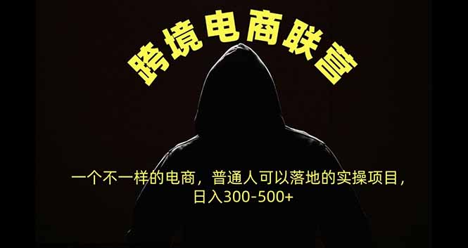 跨境电商联营，一个不一样的电商，普通人可操作日入300-500+-智点网