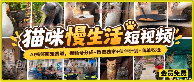 猫咪慢生活短视频，AI搞笑萌宠赛道，视频号分成+精选独家+伙伴计划+商单收徒-智点网