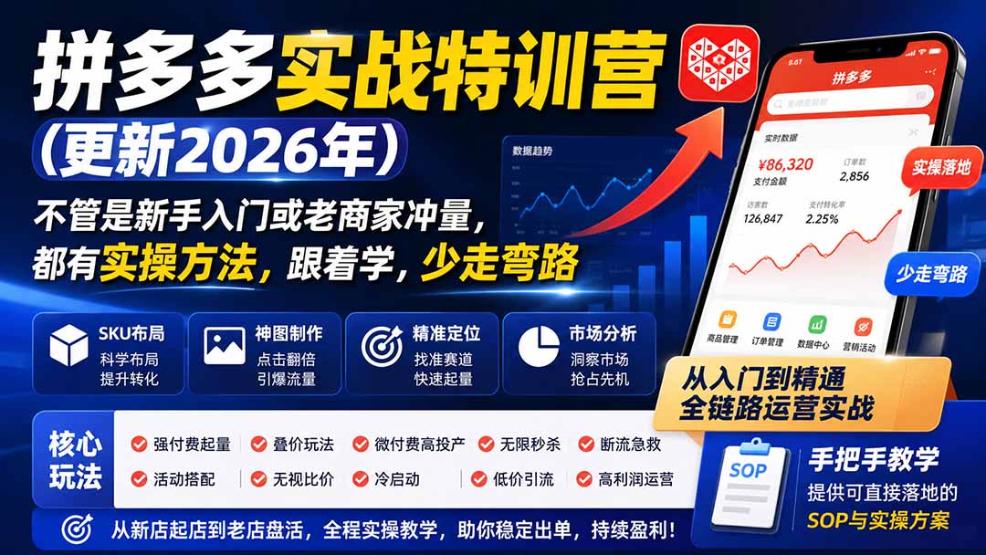 拼多多实战特训营(更新26年9月-智点网