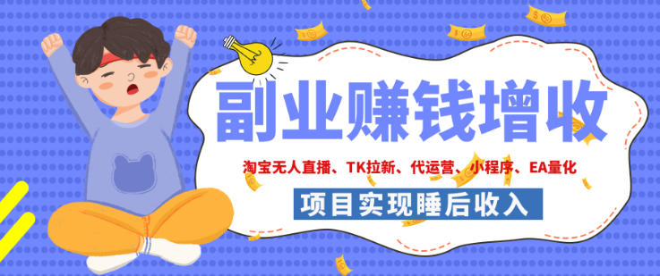 2026年多个真实落地副业项目，手把手带你搭建被动收入管道(淘宝无人直播、海外TK拉新、最新最全代运营、CSGO饰品交易、EA黄金量化、去水印小程序……)【揭秘】-智点网