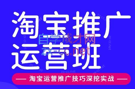 美迪电商·淘宝高级运营班+推广运营班(更新9月)-智点网