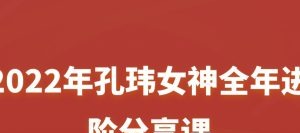 2022年孔玮女神全年进阶分享课-个人发展-智点网