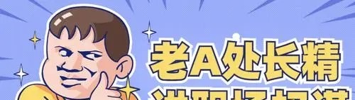 老A系列处长体质内办事提拔重用指南-职场生存