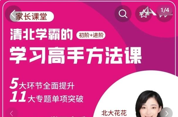 北大花花-学习高手方法课（初阶+进阶）139节课-学习窍门-智点网