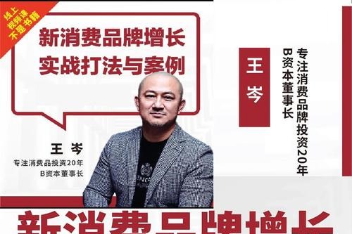 王岑讲新消费品牌增长实战打法与案例-品牌营销-智点网