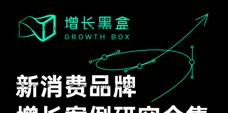 增长黑盒新消费品牌增长案例研究合集-品牌营销-智点网