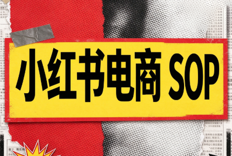 书豪必胜小红书电商sop(更新9月)-智点网
